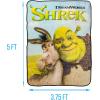 Silver Buffalo Rainbow Brite Plush Raschel Throw Blanket Featuring Rainbow Land, 45″ x 60″(Shrek and Donkey Hugging)