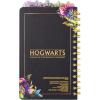 Silver Buffalo Rainbow Brite RB Starlite Twink Star 8″ x 5″ Spiral Tabbed Notebook(Harry Potter)