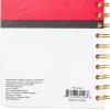 Silver Buffalo Rainbow Brite RB Starlite Twink Star 8″ x 5″ Spiral Tabbed Notebook(Pokemon Pokeball Starters Spiral)