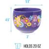 Silver Buffalo Rainbow Brite and Twink Ceramic Ramen Bowl with Chopsticks and Spoon, 20 Ounces(Care Bears Groovy Flower Power)