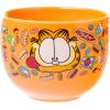 Silver Buffalo Rainbow Brite and Twink Ceramic Ramen Bowl with Chopsticks and Spoon, 20 Ounces(Garfield Junk Food Spoon)