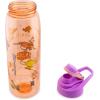 Silver Buffalo Rainbow Brite and Twink Sparkle Water Bottle with Screw-On Lid, 28 Ounces(Disney Princess Icons)