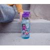 Silver Buffalo Rainbow Brite and Twink Sparkle Water Bottle with Screw-On Lid, 28 Ounces(Steven Universe)