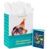 Hallmark 13″ Large Gift Bag with Birthday Card and Tissue Paper (Blue with Stars, Birthday Boy)(Did Someone Mention Cake?)