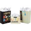 Hallmark Assorted Birthday Gift Bags (8 Bags: 3 Small 6″, 3 Medium 9″, 2 Large 13″) Smiling Sun, Balloons, Cute Flowers and Plants(Let’s Celebrate!)