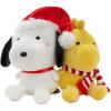 Snoopy and Woodstock