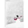 Snowman and Cardinal Holiday Cards