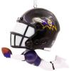 Baltimore Ravens Bouncing Buddy Diving