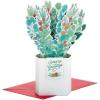 Hallmark Paper Wonder Pop Up Christmas Card (Holly and Pine Displayable Bouquet)(Pop Up Bouquet  Holly and Pine)