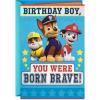 Paw Patrol