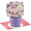 Pop Up  Displayable Daisy Bouquet