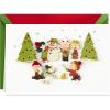 Hallmark Signature Christmas Card (Snowflakes)(Peanuts  Fun and Frosty Christmas)