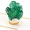Hallmark Signature Mother’s Day Card (Greenhouse) Blank, Thinking of You, Encouragement(Monstera)