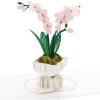 Hallmark Signature Mother’s Day Card (Greenhouse) Blank, Thinking of You, Encouragement(Pop Up  Orchid)