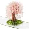 Pop Up  Cherry Blossom Tree