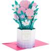 Hallmark Signature Paper Wonder Pop-Up Graduation Card (Class of 2025) for College, High School, Masters(Have a Beautiful Day Flower Bouquet)