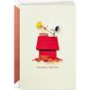 Snoopy and Woodstock