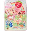Care Bears X Strawberry Shortcake