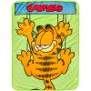 Silver Buffalo Rainbow Brite Plush Raschel Throw Blanket Featuring Rainbow Land, 45″ x 60″(Garfield Hanging on)