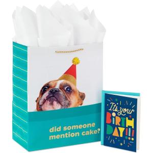 Hallmark 13″ Large Gift Bag with Birthday Card and Tissue Paper (Blue with Stars, Birthday Boy)(Did Someone Mention Cake?)