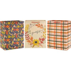 Hallmark Fall Leaves Party Favor and Wrapped Treat Bags (30 Ct.) for Autumn Parties, Halloween, Thanksgiving, Friendsgiving, Care Packages and More(Leaves  Grateful  Plaid)