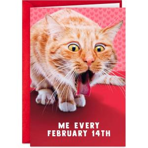 Hallmark Funny Romantic Valentine’s Day Card (Animal Love) for Husband, Wife, Boyfriend, Girlfriend(Cat Hairball)