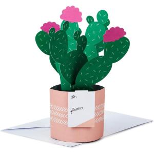 Hallmark Paper Wonder Mother’s Day Pop Up Card (Rainbow) Thinking of You, All Occasion(Pop Up  Potted Cactus)