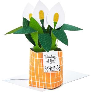 Hallmark Paper Wonder Pick-a-Title Customizable Pop-Up Card (Stars and Balloons) for Birthday, Congrats, Graduation(Peace Lily)