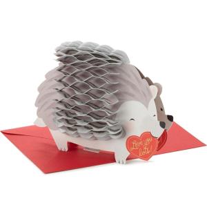 Hallmark Paper Wonder Pop Up Valentines Day Card (Honeycomb Hedgehog)(Honeycomb Hedeghog)