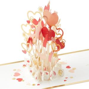 Hallmark Paper Wonder Pop Up Valentines Day Card (Honeycomb Hedgehog)(Love You A Bunch)