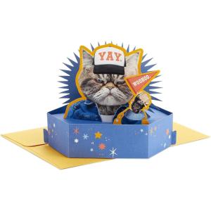 Hallmark Paper Wonder Shoebox Funny Pop Up Card for Birthdays (Cupcake, “Not That Old”)(Grouchy Cat)