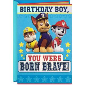 Hallmark Paw Patrol Birthday Card for Boys (Born Brave)(Paw Patrol)