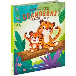 Hallmark Recordable Book for Children (What are Grandsons Made of?) Easter Basket Stuffers(What Are Grandsons Made Of?)