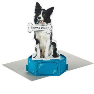 Hallmark Shoebox Funny Valentine’s Day Card (Nice Butt) for Husband, Wife, Boyfriend, Girlfriend(Dog Treat)