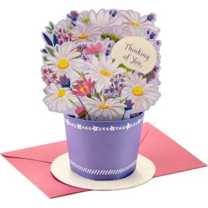 Hallmark Signature Blank Card (Rainbow)(Pop Up  Displayable Daisy Bouquet)