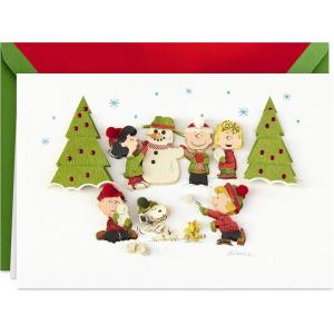 Hallmark Signature Christmas Card (Snowflakes)(Peanuts  Fun and Frosty Christmas)
