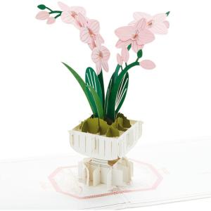 Hallmark Signature Mother’s Day Card (Greenhouse) Blank, Thinking of You, Encouragement(Pop Up  Orchid)