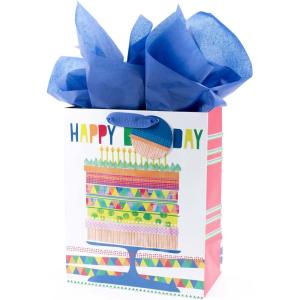 Hallmark Signature Studio 10″ Large Square Gift Bag with Tissue Paper (Happy Birthday) Teal, Gray, Pink, Blue on White(Birthday Cake)