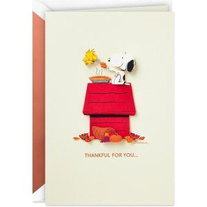 Hallmark Signature Thanksgiving Card (Blessings and Love)(Snoopy and Woodstock)