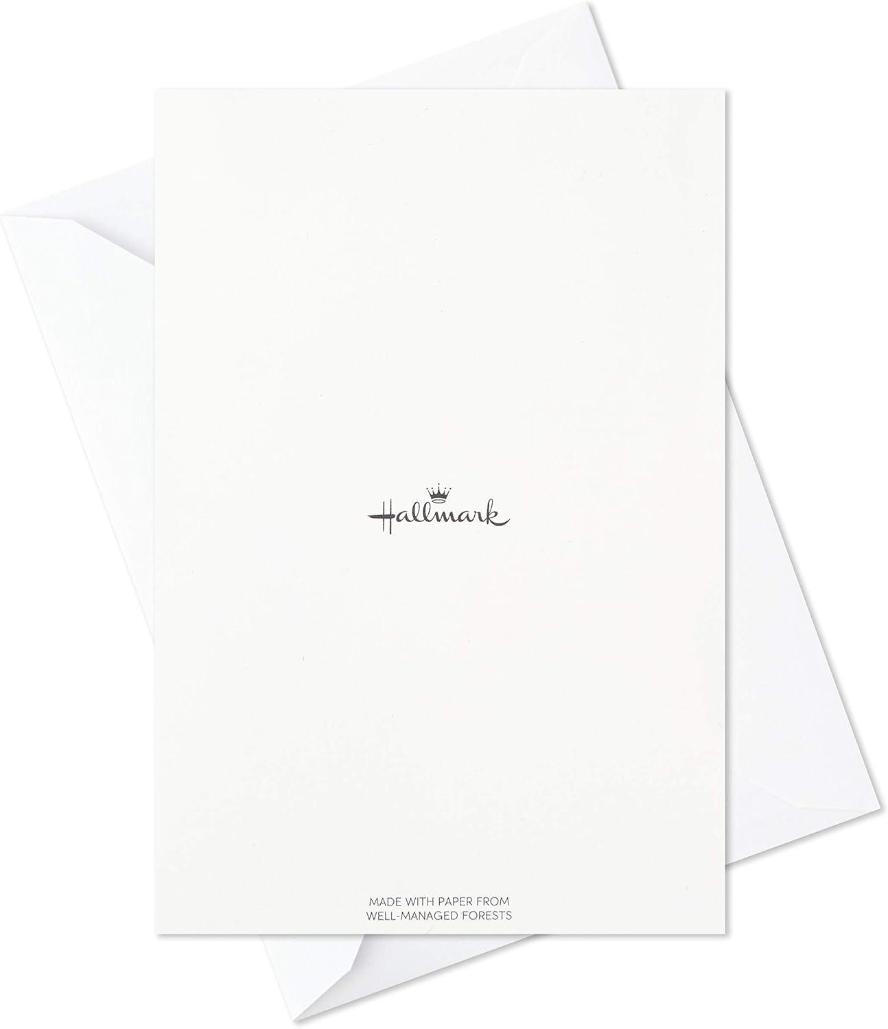 imageHallmark Birthday Cards Assortment 24 Cards with Envelopes Rainbow Lettering Best Day EverBest Day
