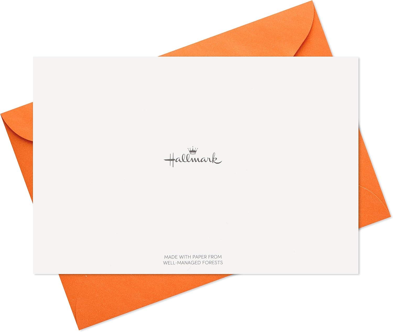 imageHallmark Birthday Cards Assortment 36 Cards with Envelopes Bright Birthday WishesMulticolorAssorted