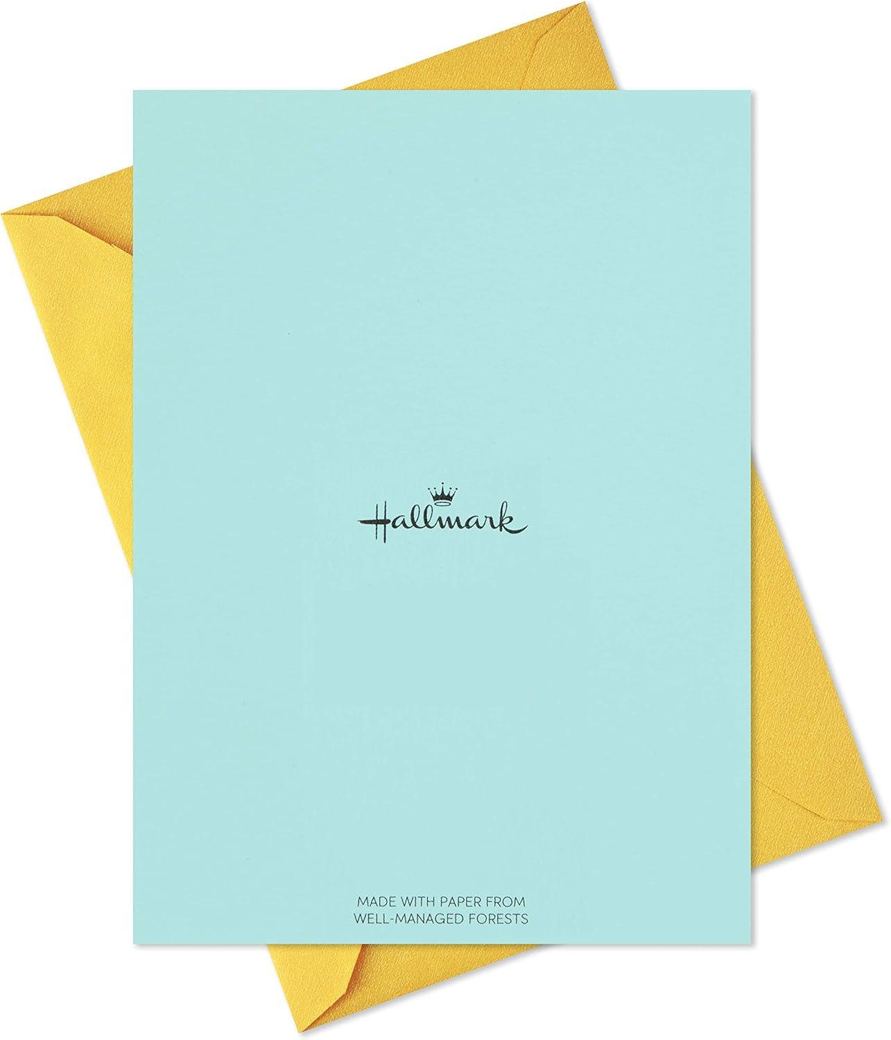 imageHallmark Birthday Cards Assortment 36 Cards with Envelopes Cats Lasers Llamas DonutsCats  Lasers  Llamas  Donuts