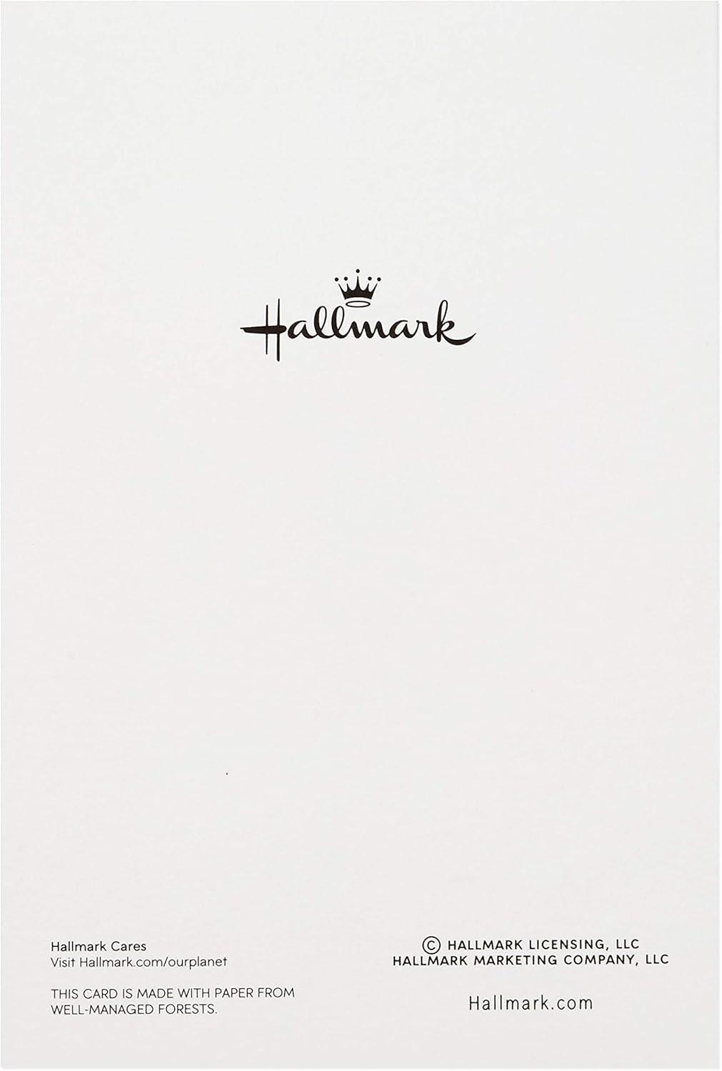 imageHallmark Love Card Assortment New RelationshipMiss YouTime ApartJust Because 6 Cards with EnvelopesMulticolorAssorted