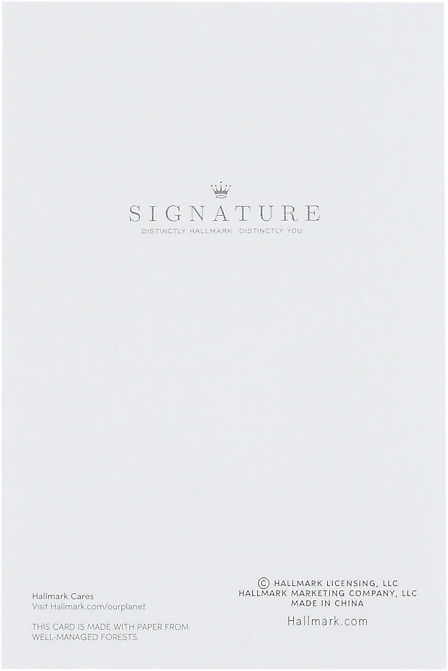 imageHallmark Signature Birthday Card for Boy T Rex