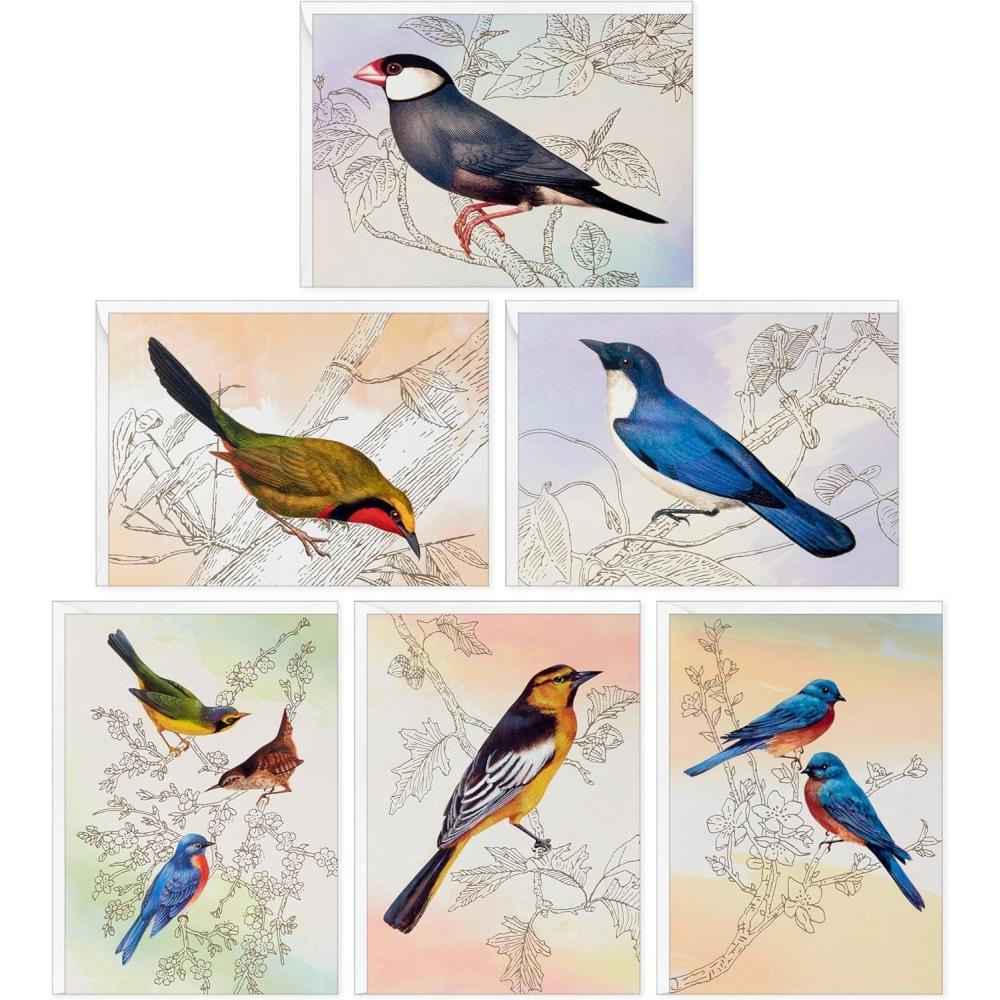 imageHallmark Bird Note Card Assortment 24 Blank Cards with Envelopes Bluebird Mockingbird Sparrow Oriole WarblerBirds