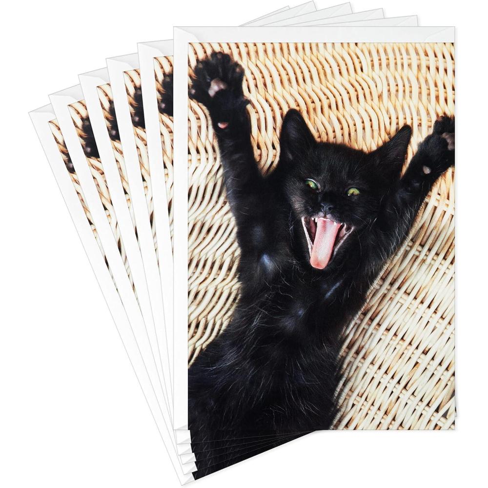 imageHallmark Pack of Funny Birthday Cards Excited Cat 6 Birthday Cards with EnvelopesBlack Cat