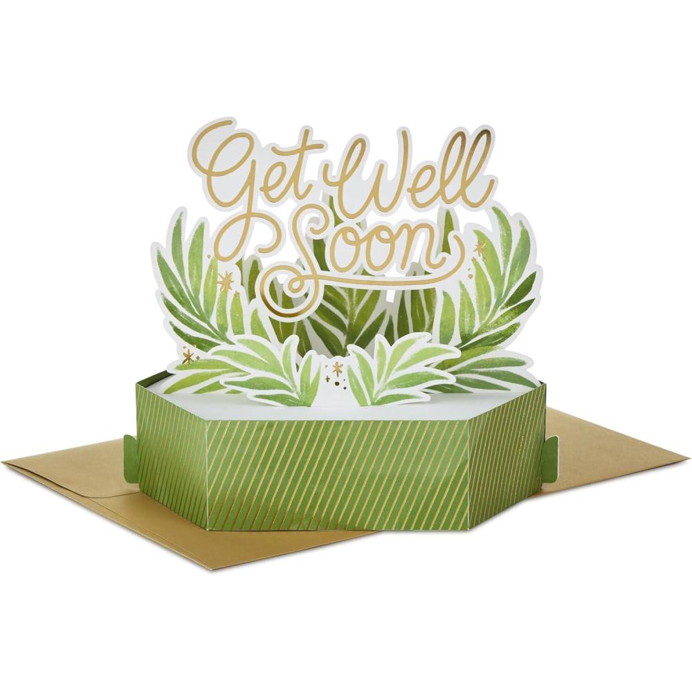 imageHallmark Paper Wonder Get Well Soon Pop Up Card Plants