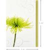 Hallmark Assorted Sympathy Cards (Flowers, 12 Cards and Envelopes)(Sympathy Cards)