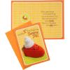 Hallmark Baby’s 1st for All Seasons Card Assortment, Halloween/Thanksgiving/Christmas/Valentine’s Day/Easter (5 Cards with Envelopes) (1499RZC1011)(5 cards with Envelopes)