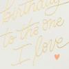 Hallmark Birthday Card for Husband, Wife, Boyfriend, Girlfriend (So Lucky)(One I Love)